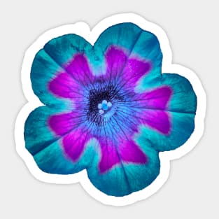 Textured teal filtered flower photographic image Sticker